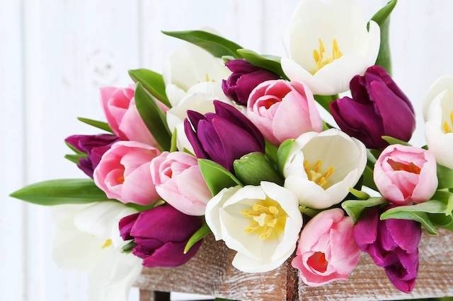 Bouquet de printemps — Tulipes